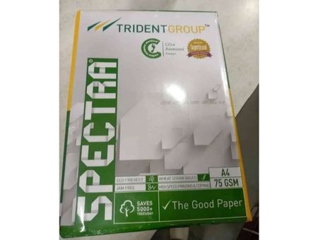 Trident Paper